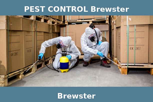 PEST CONTROL Brewster